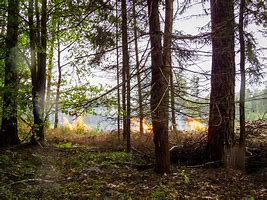 Réglementation feux de forêts 